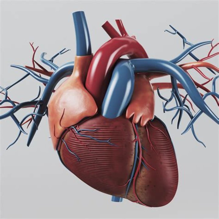 :heart: